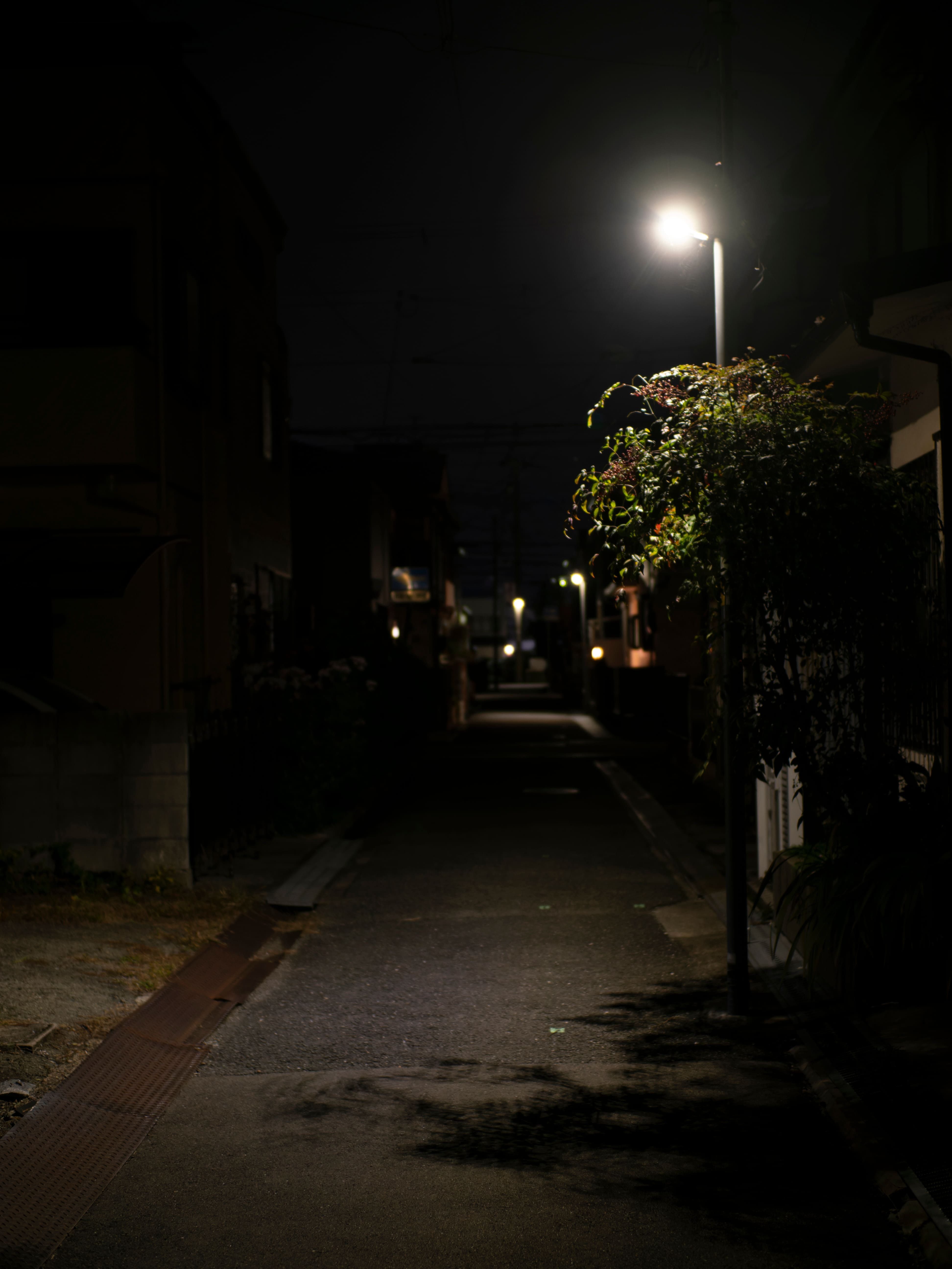 夜の玄関まわり。街灯が照らす舗装路と植栽が映る、人目が気になる外観