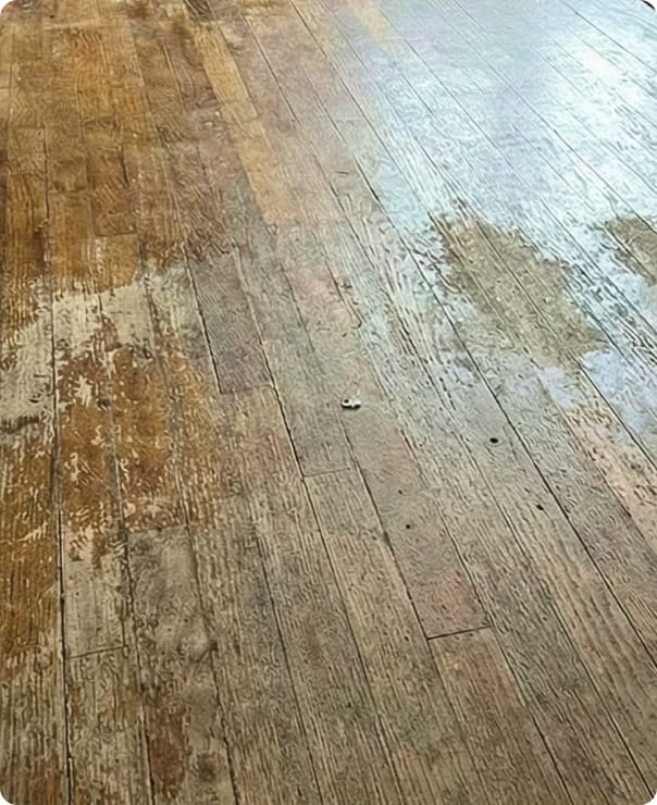 ガラスコーティング施工例3